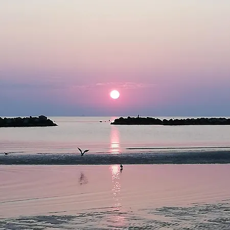 Daniel * Bellaria-Igea Marina